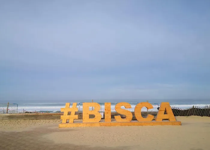 Appartement Biscarrosse Plage Front De Mer 4 Personnes